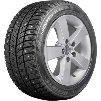Зимние шиныDelinteWinter WD52225/55 R1797T