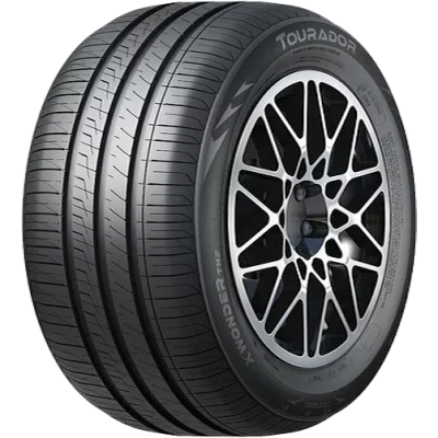 Летние шиныTouradorX Wonder TH2195/65 R1591V